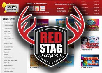 red stag casino login|Iba pa.